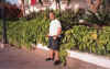15moganblumen.jpg (141997 Byte)