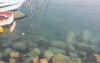 16moganwasser.jpg (68262 Byte)