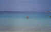19badenimaquarium.jpg (42288 Byte)